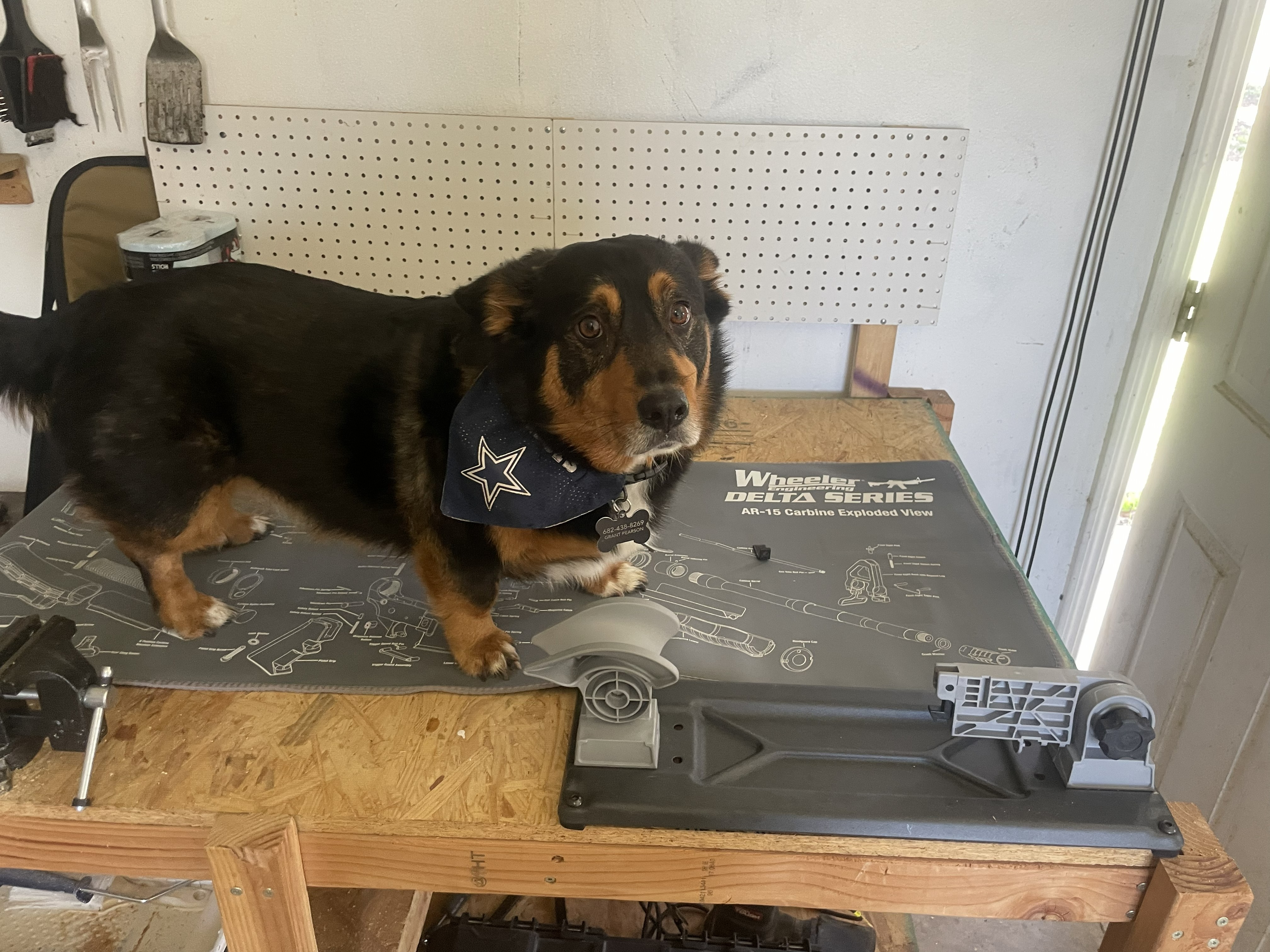 FFL transfer process